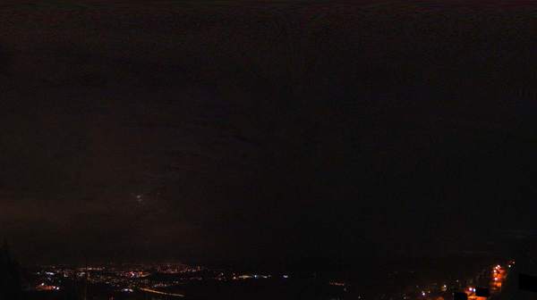 Voksenlia