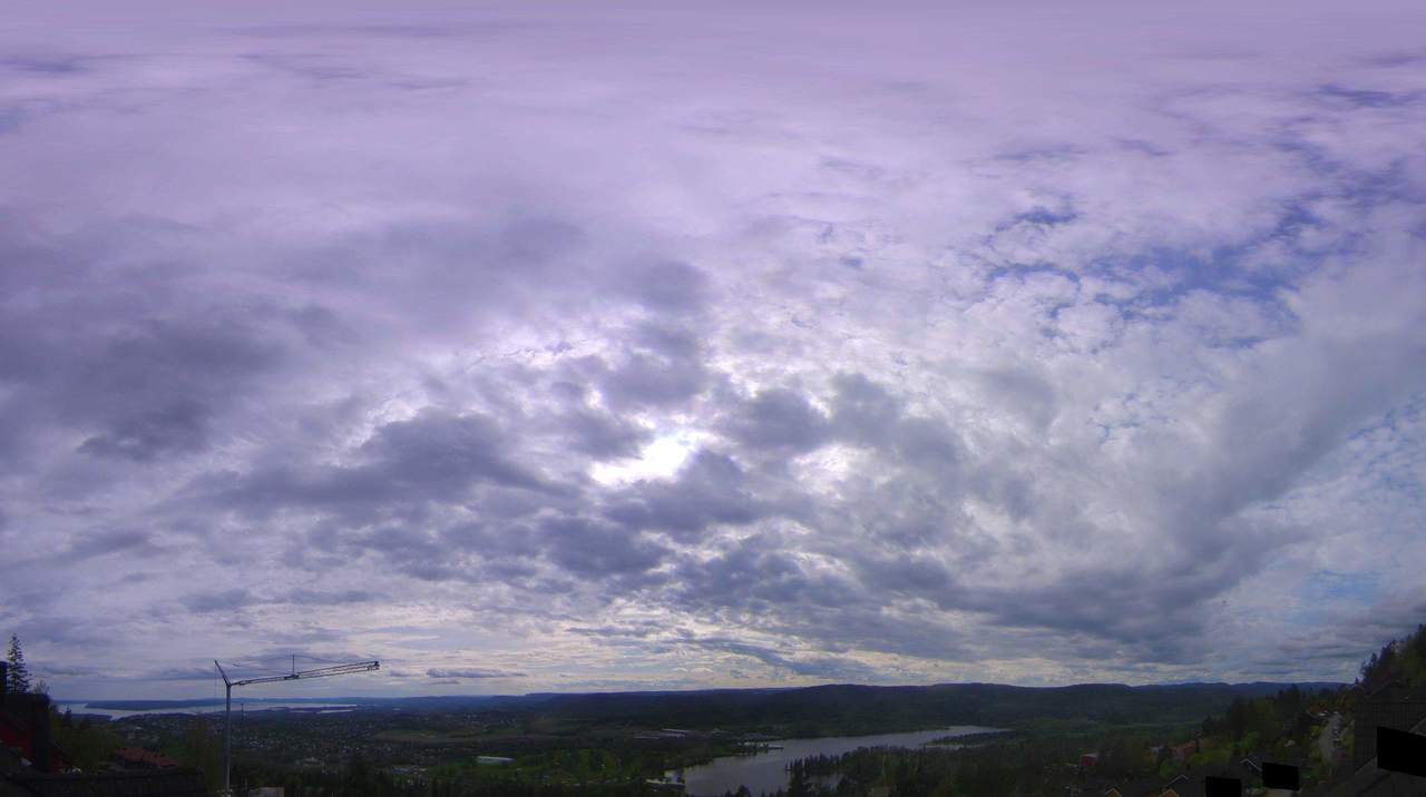 Voksenlia