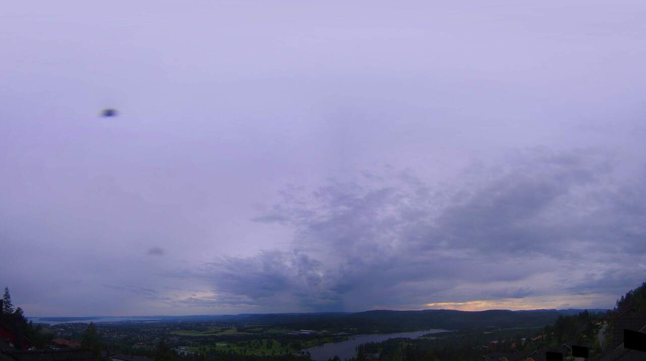 Voksenlia