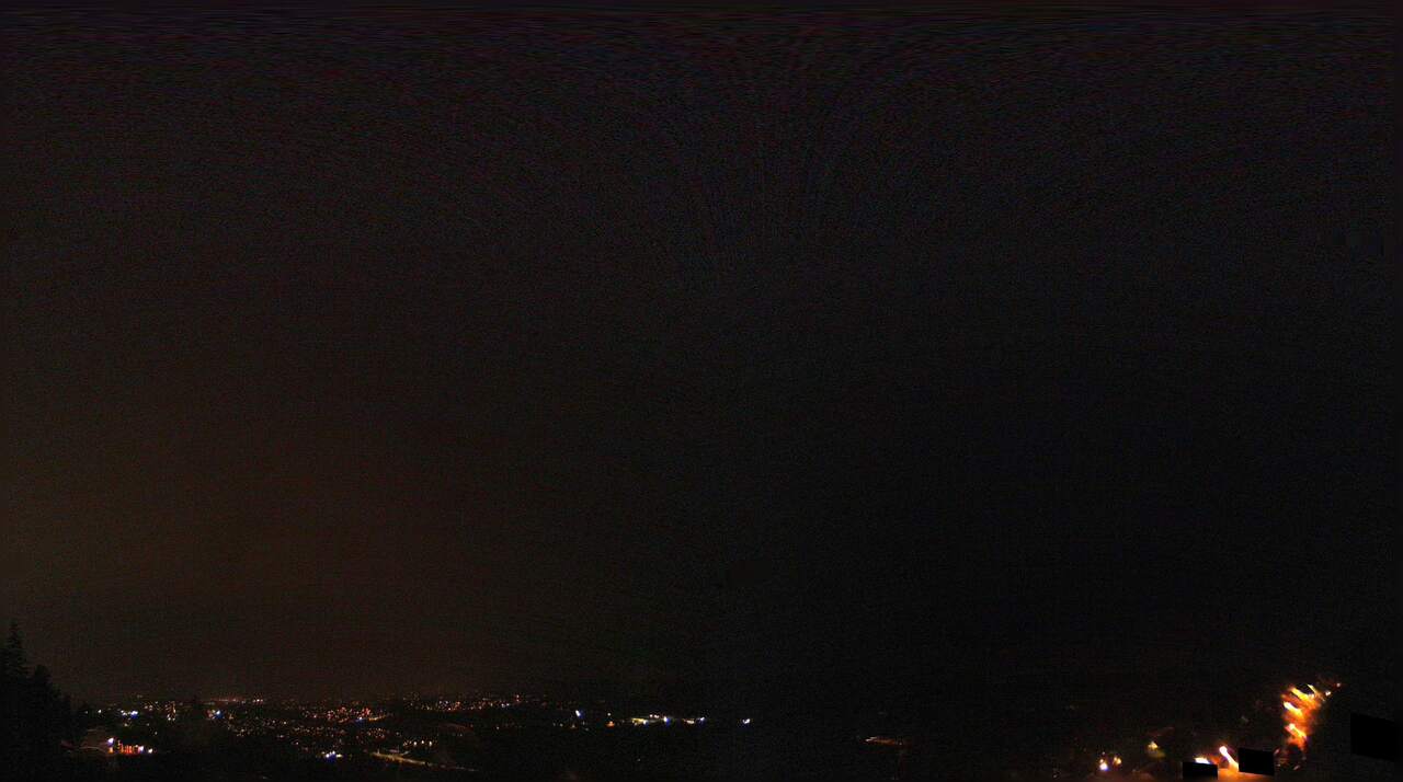 Voksenlia