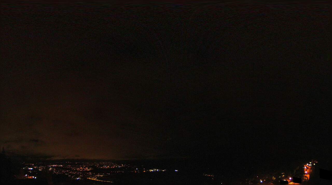 Voksenlia